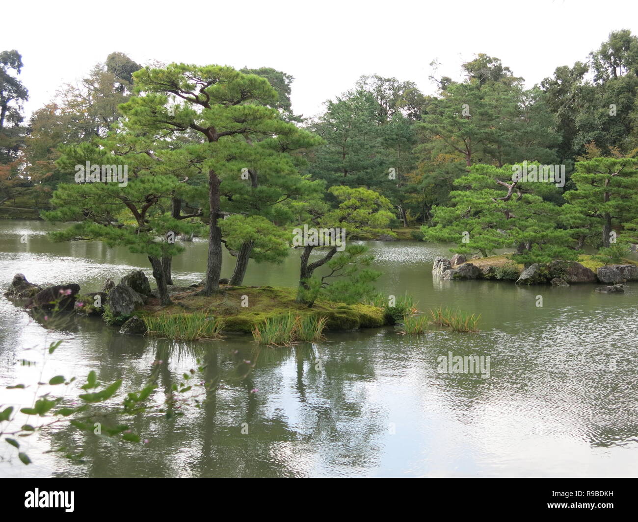 Photo of the pond and trees in the grounds of the Kinkakuji Golden Pavilion, Kyoto Stock Photo