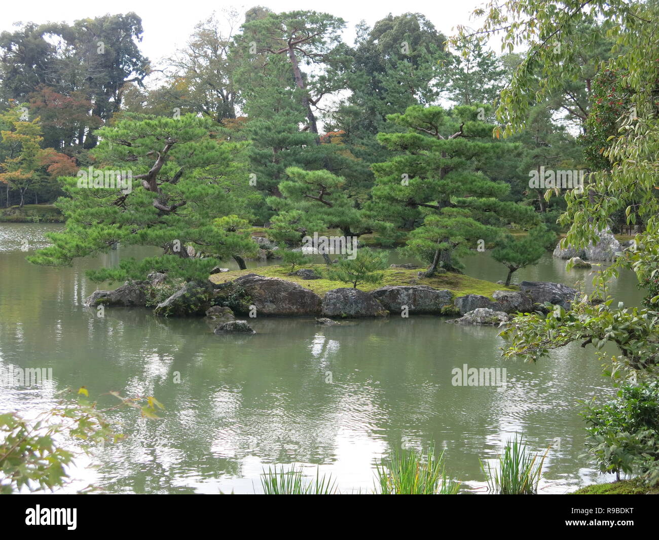 Photo of the pond and trees in the grounds of the Kinkakuji Golden Pavilion, Kyoto Stock Photo