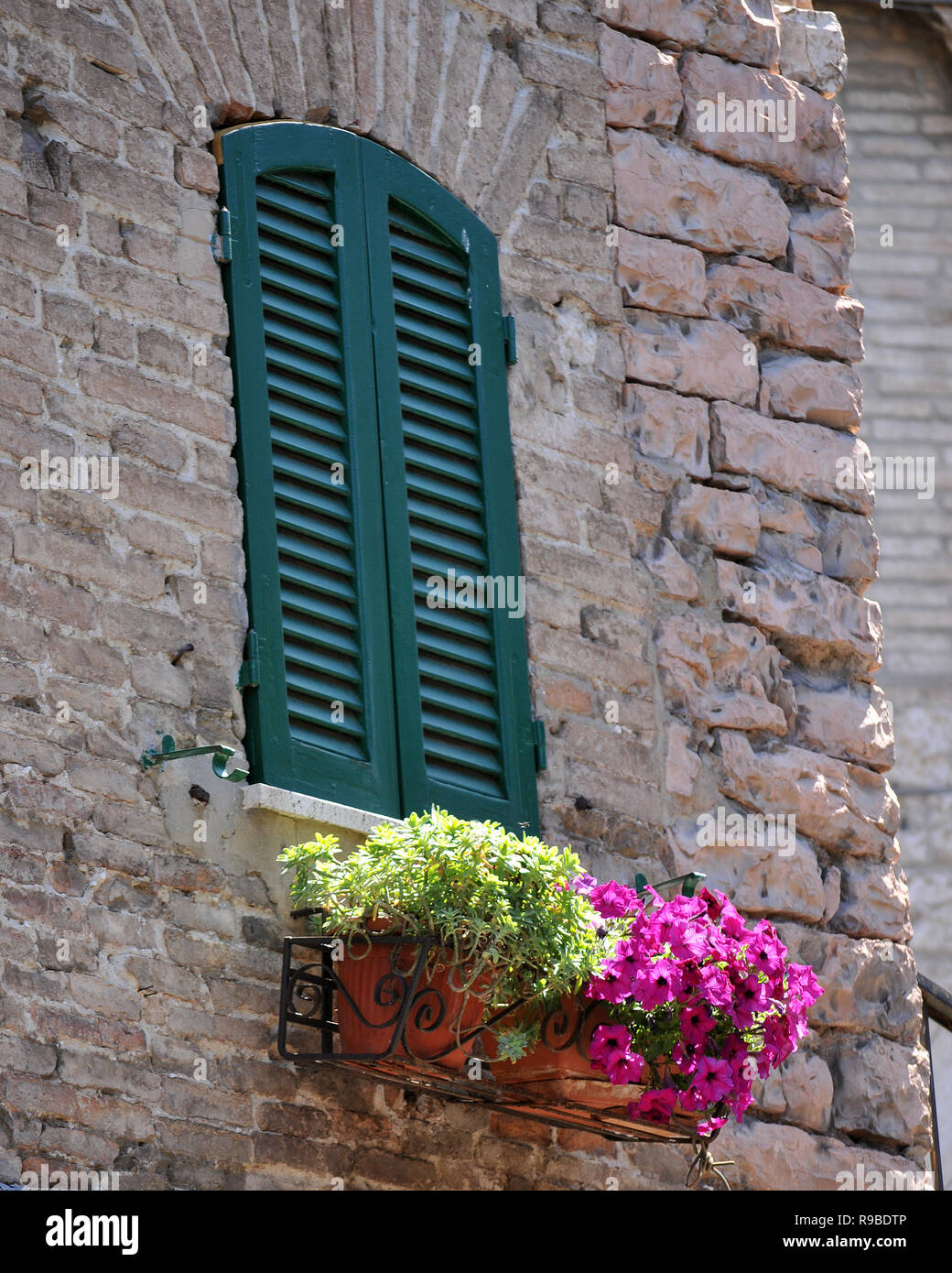 Flower Box Under Italian Window Stock Photo - Alamy