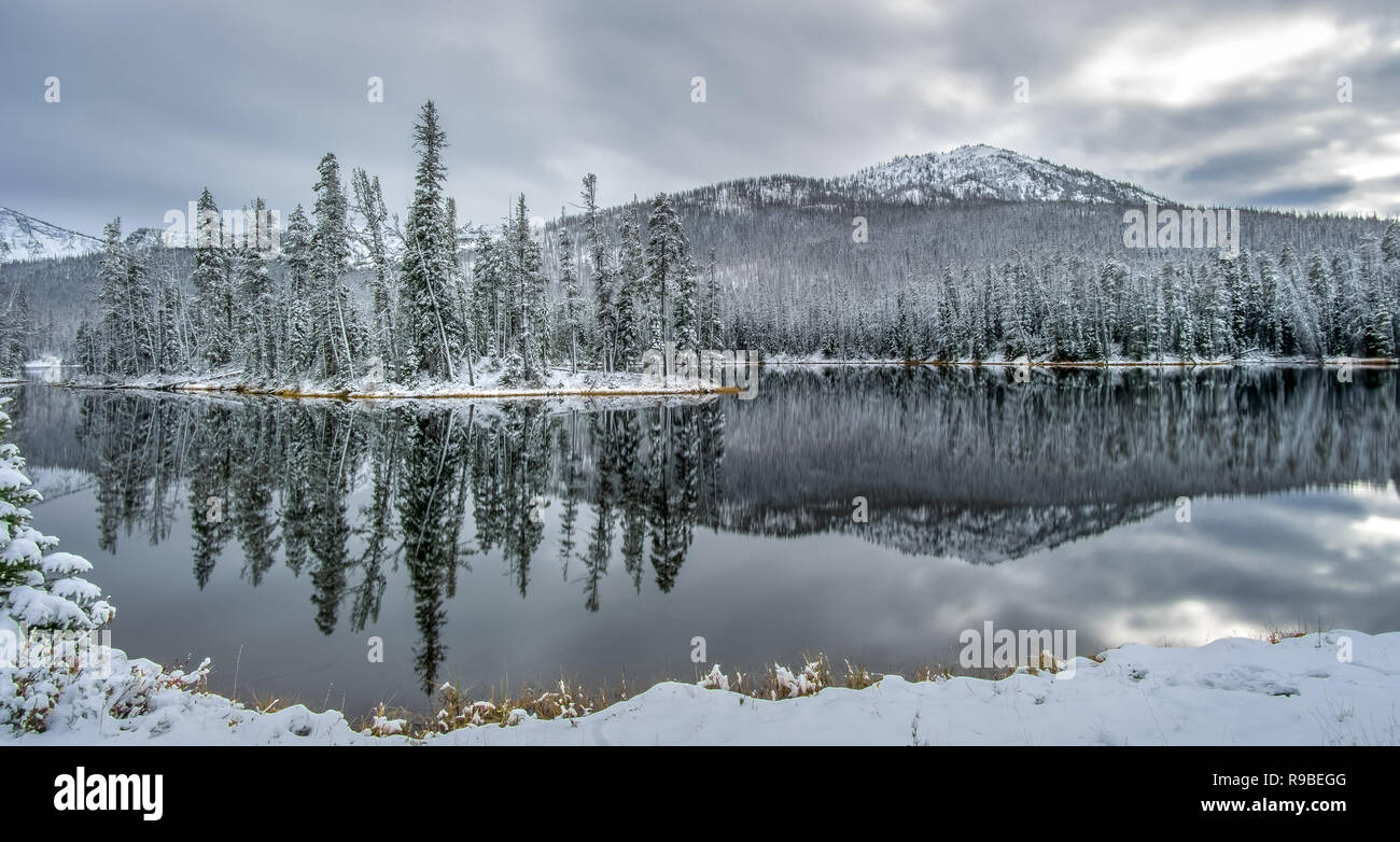 Visiting Yellowstone National Park, Wyoming, USA in October Stock Photo