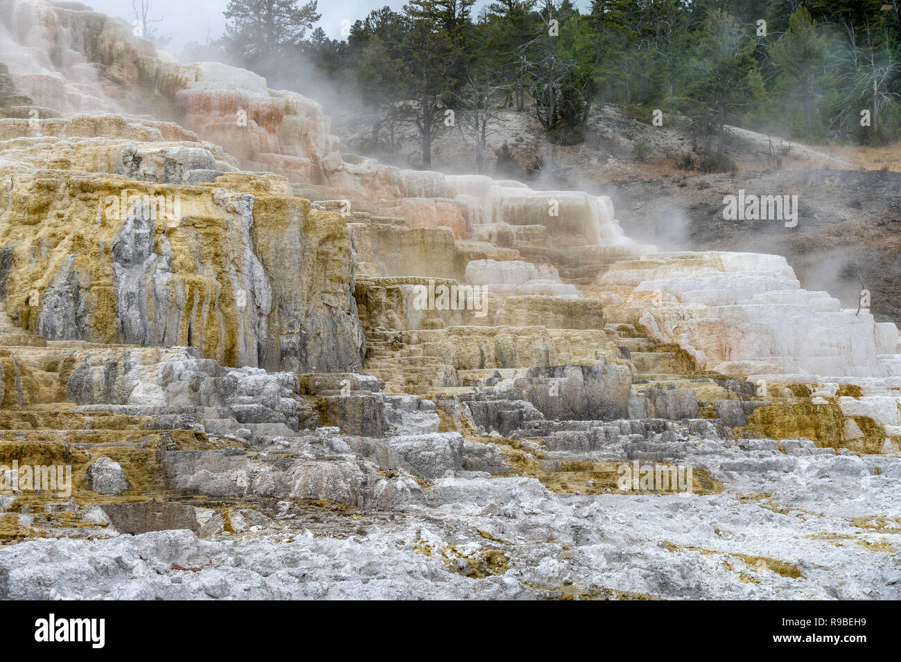 Yellowstone Hot Spring Rocks White rocks in yellowstone national hi-res stock photography and images ...