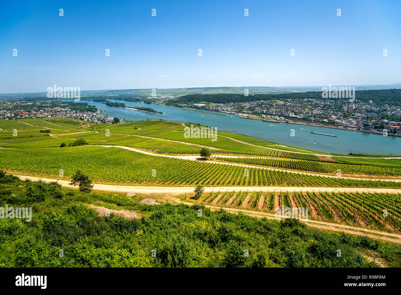 Castle Johannisberg and Vineyards, Rüdesheim, Germany Stock Photo