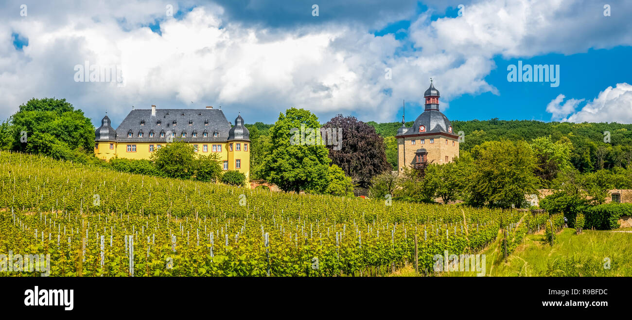 Castle Vollrads, Rheingau, Germany Stock Photo