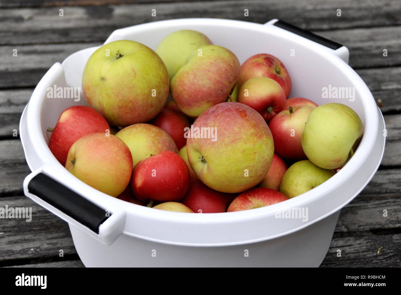 Red and green newly picked apples in a bowl Stock Photo