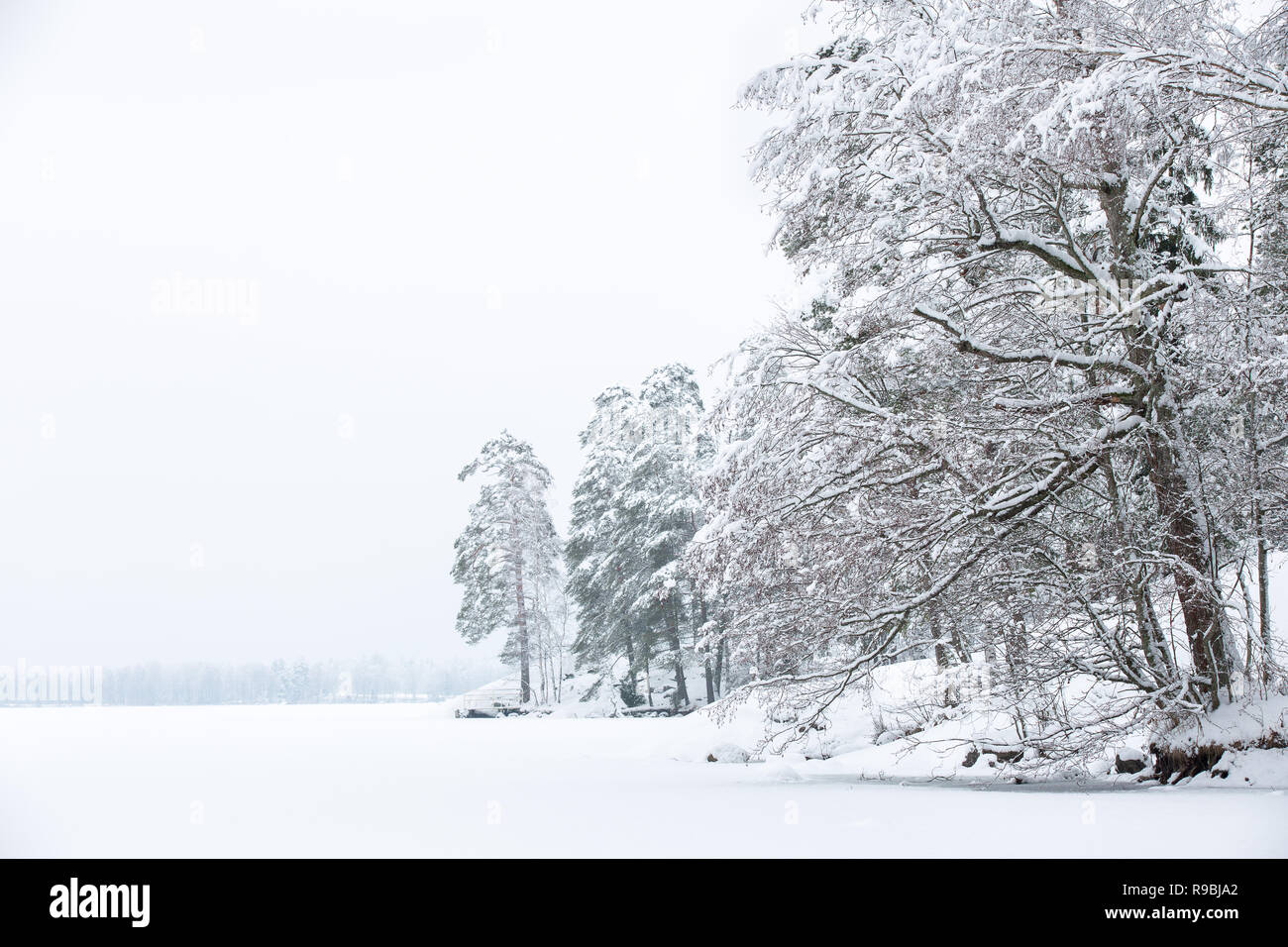 Frozen Lake Bodom in Mid Winter, Espoo, Finland Stock Photo