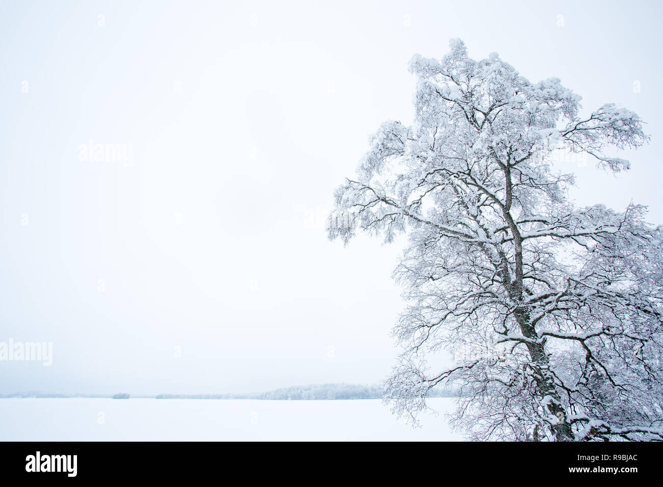 Frozen Lake Bodom in Mid Winter, Espoo, Finland Stock Photo