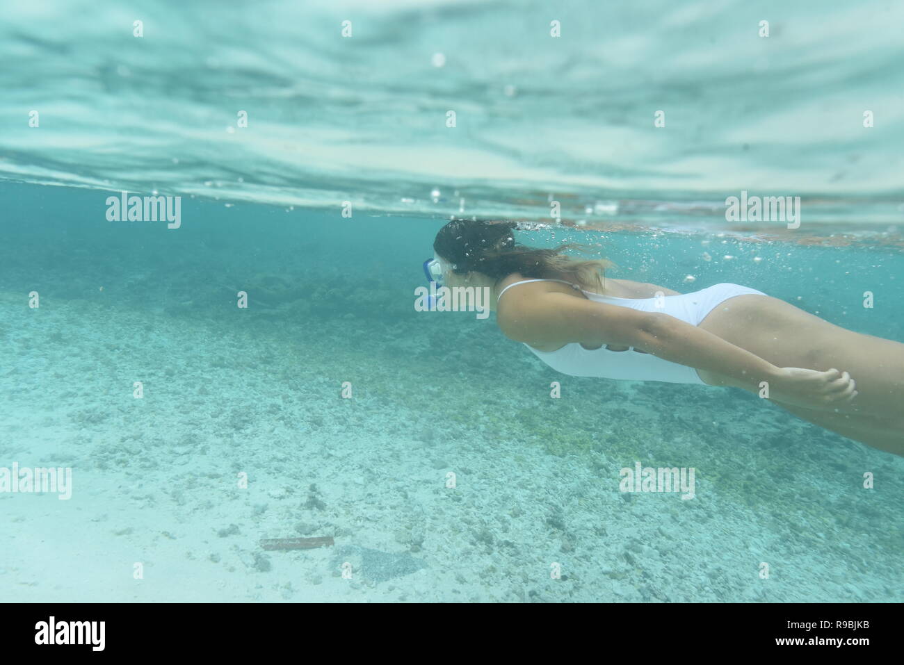 Underwater model snorkelling in the ocean coral reef split level Stock Photo