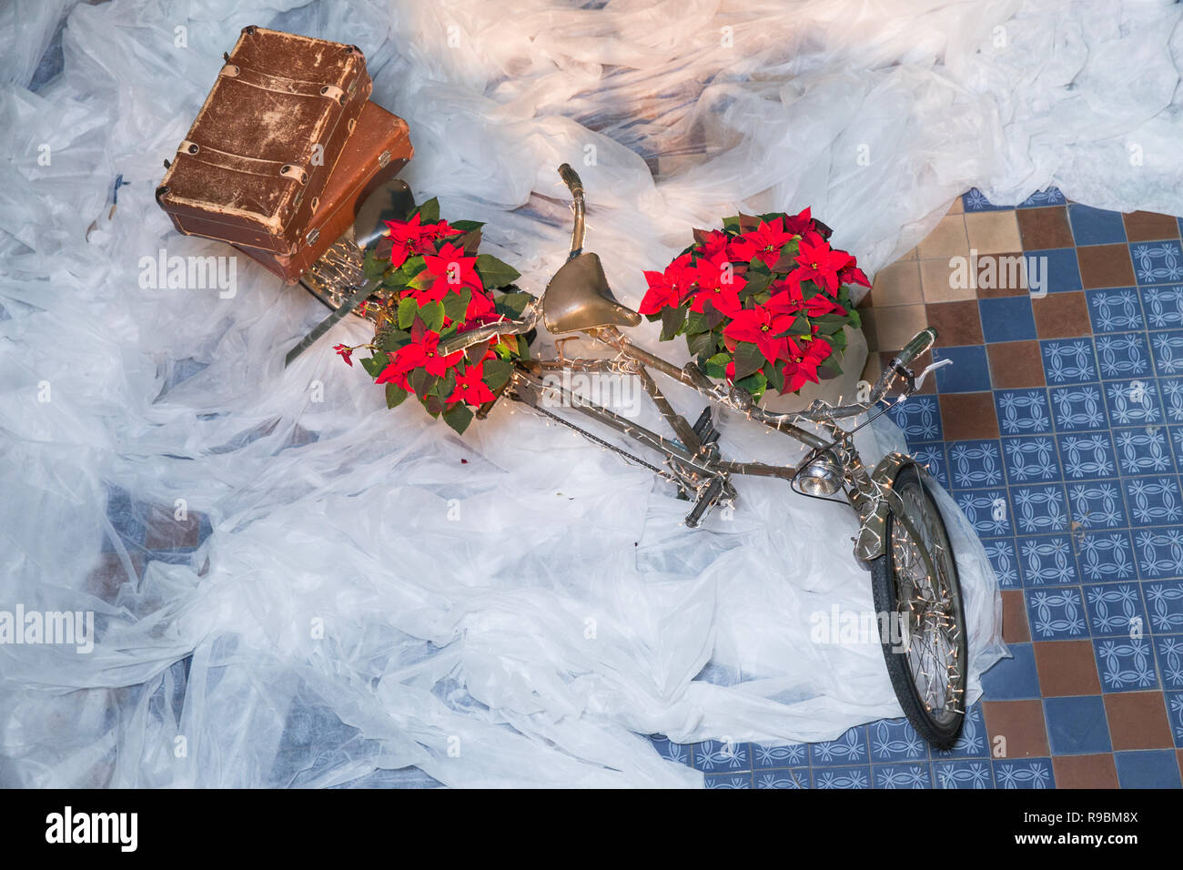 City Cesis, Latvia. Old retro tandem bicycle and christmas decors, red flowers. Travel photo 2018. december. Stock Photo