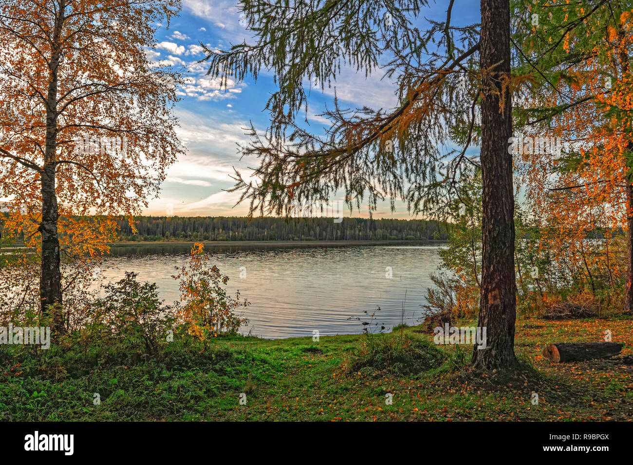 Autumn landscape sunset in the forest by the lake Stock Photo - Alamy