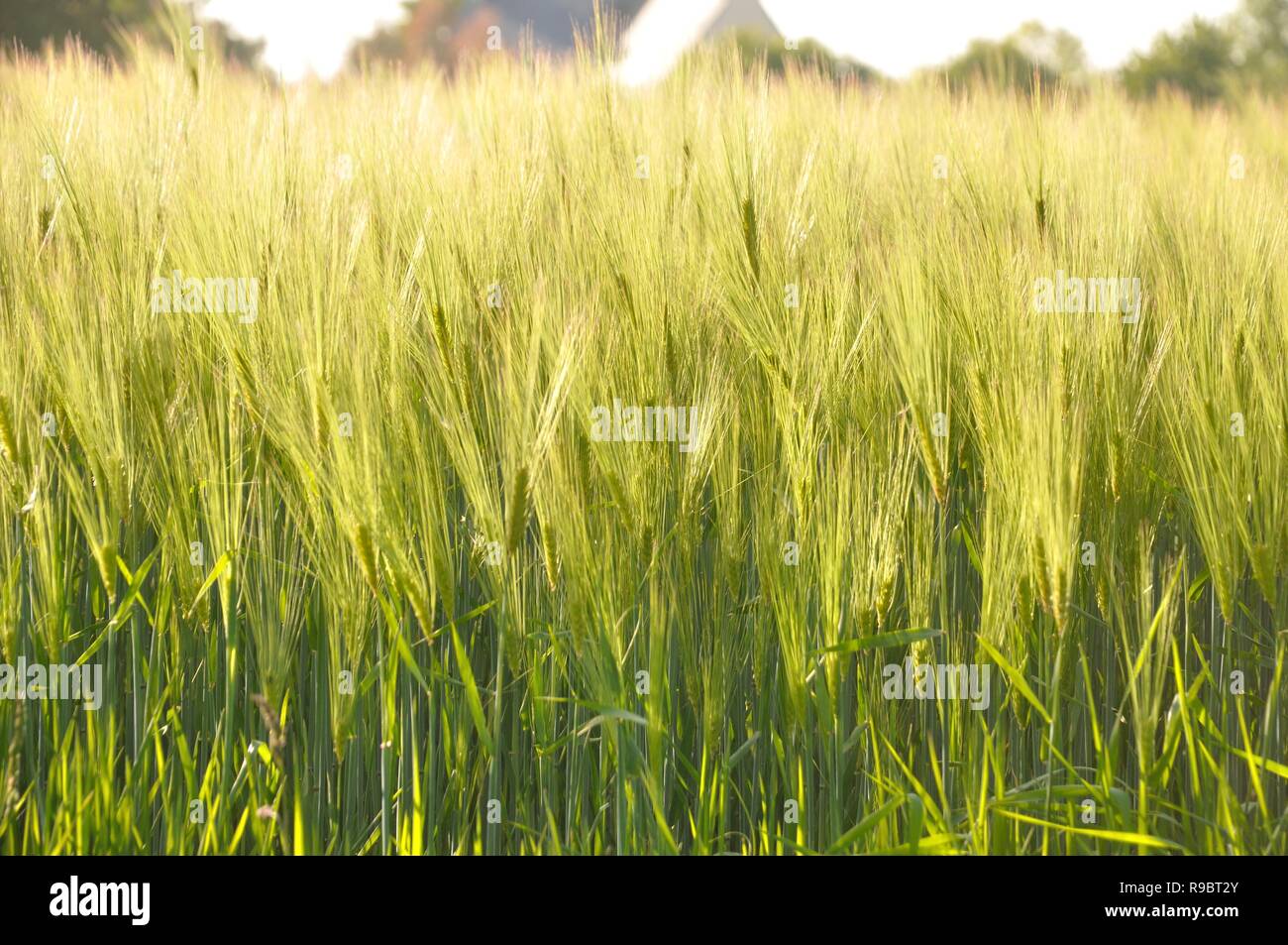 Farme fields hi-res stock photography and images - Alamy