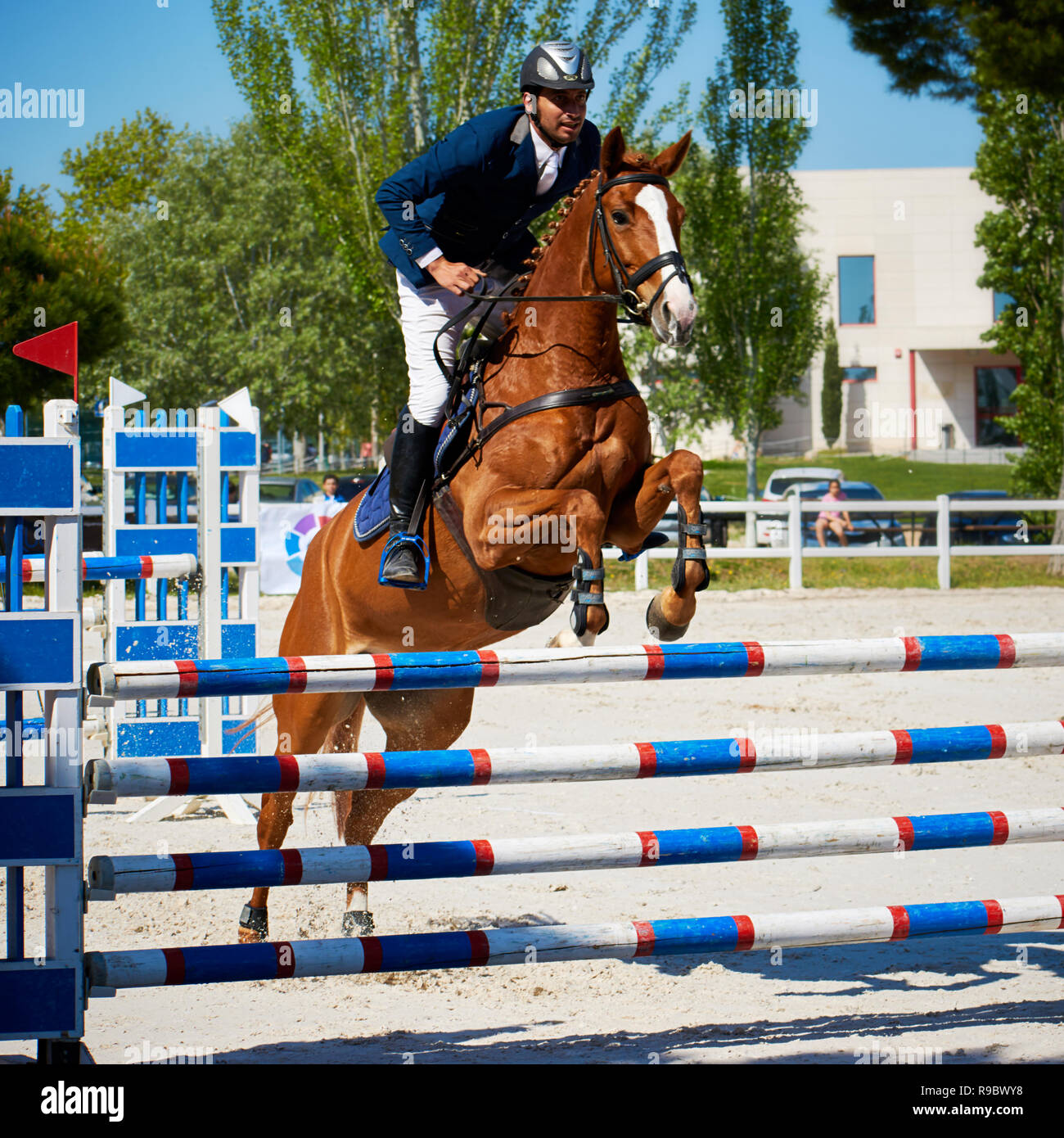 Horse jump Stock Photo