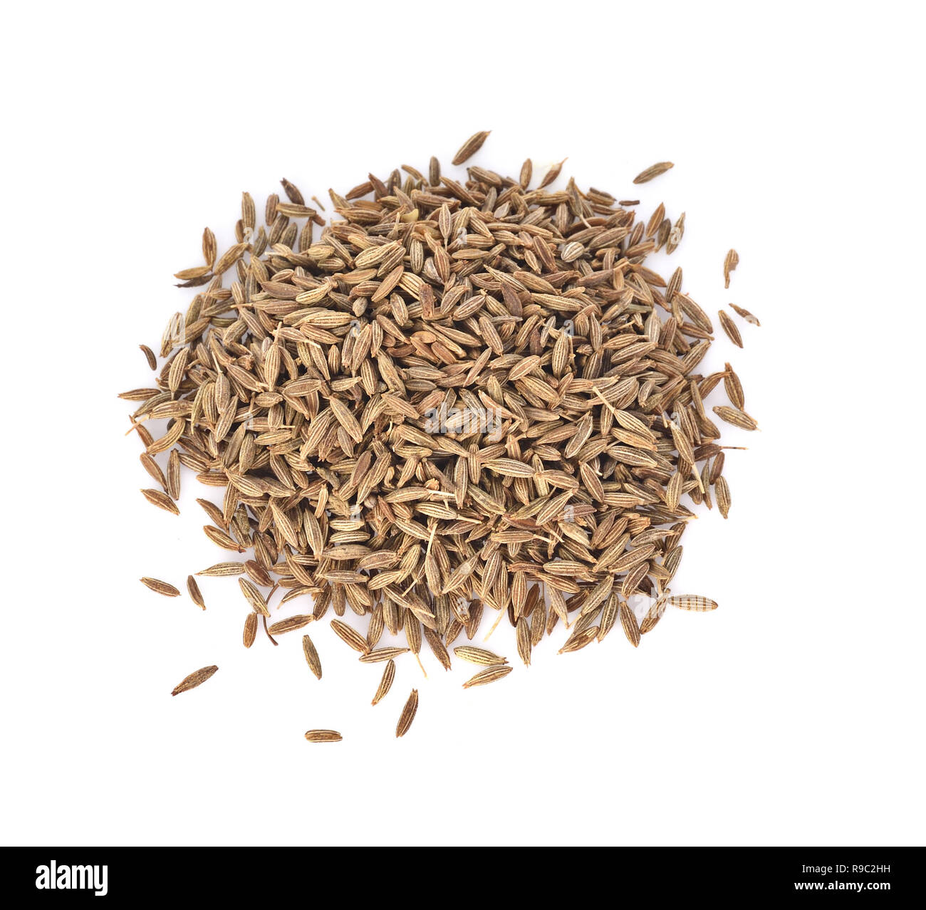 caraway, meridian fennel, Persian cumin isolated on white background