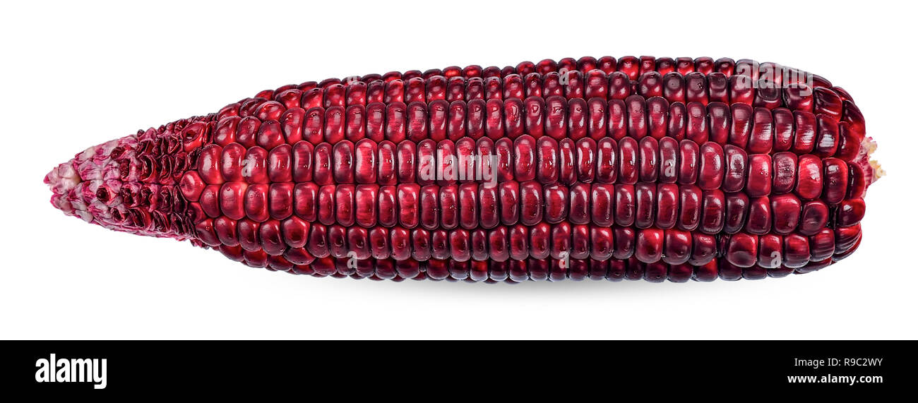 Fresh purple corn isolated on white clipping path. Stock Photo