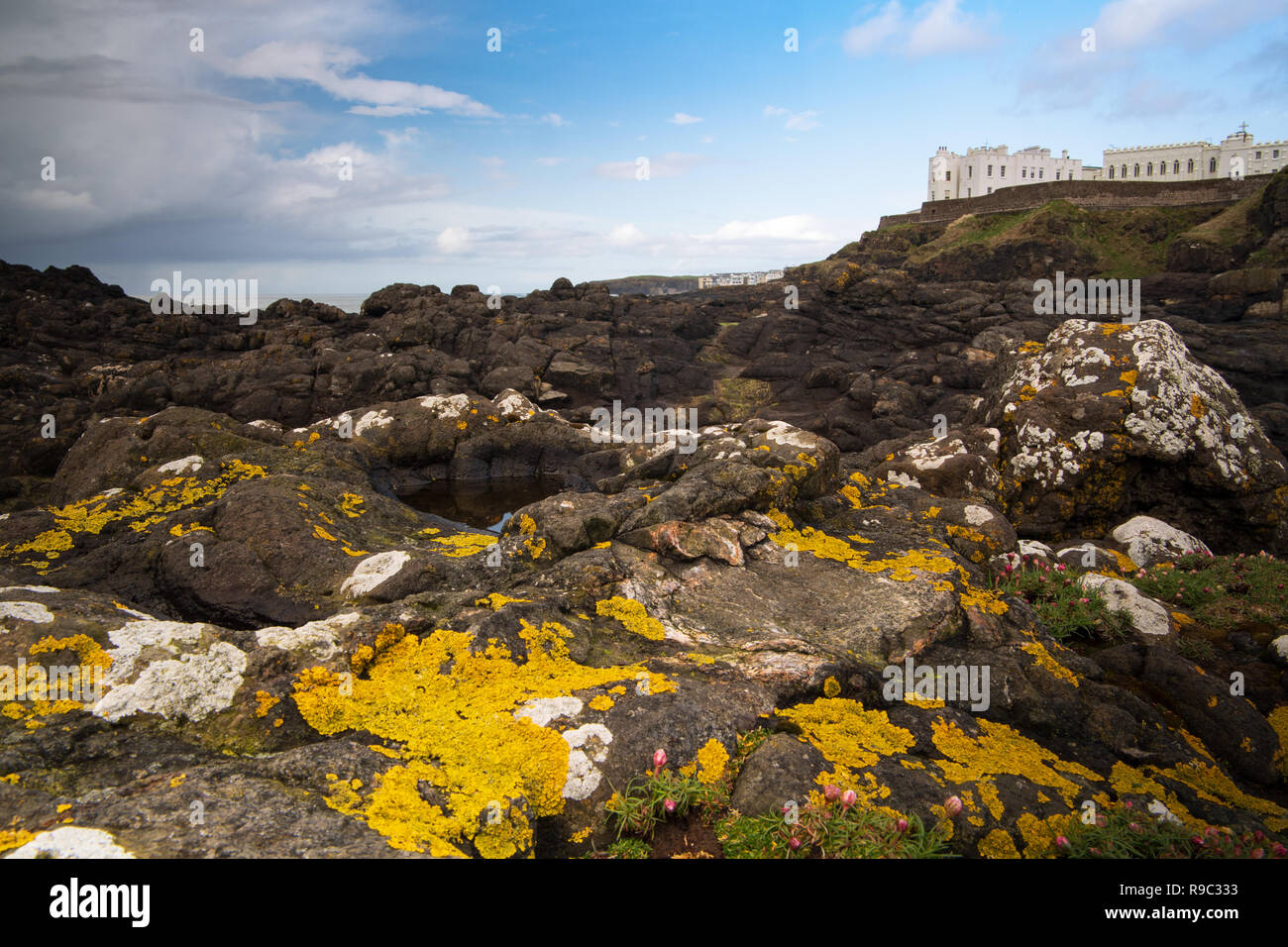 Cliff walk at Port Stewart, Northern Ireland with the Dominican College visible on the clifftop and lichen and seagrass covered rocks in the foreground. Stock Photo