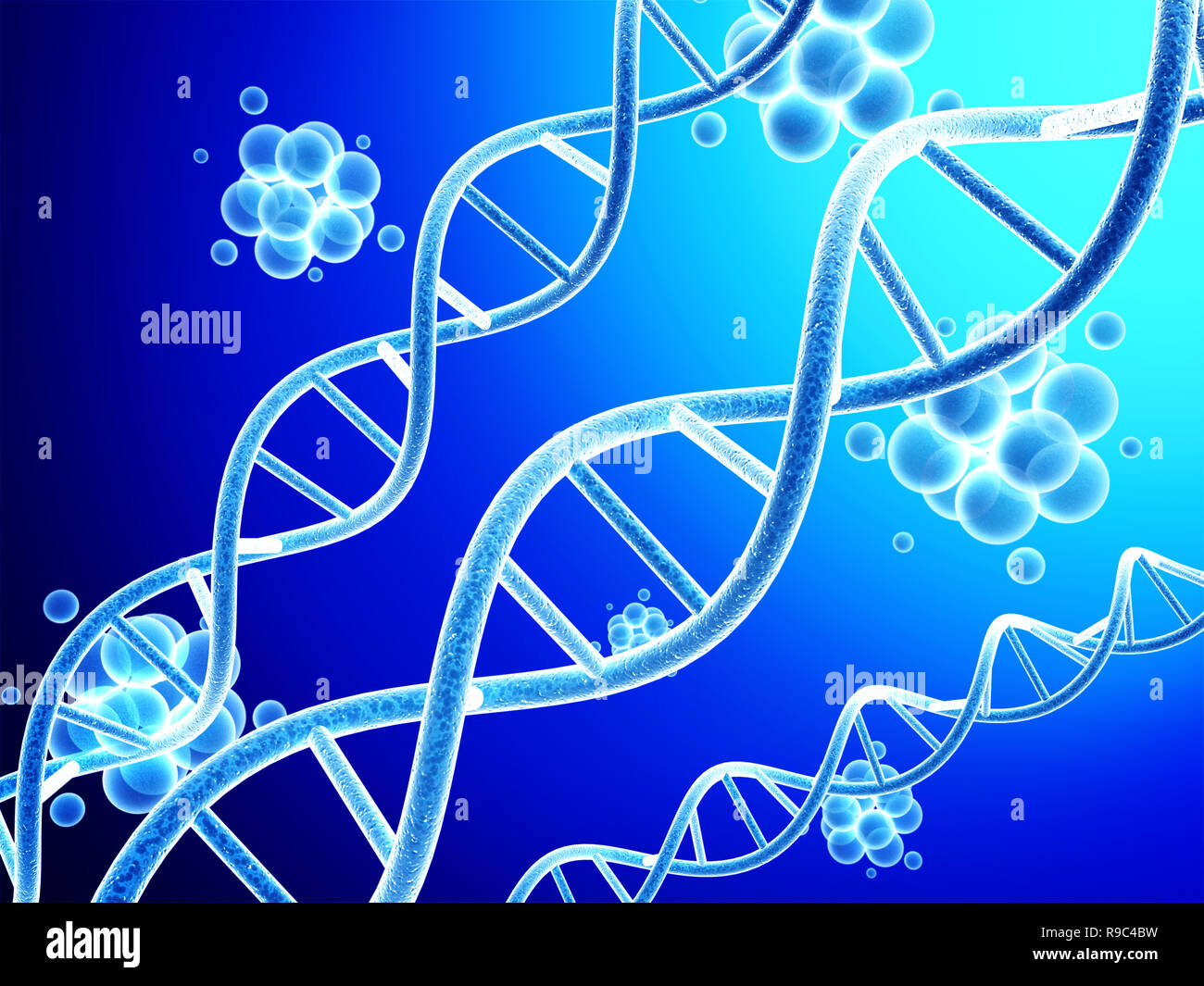 3D Dna Model Labeled