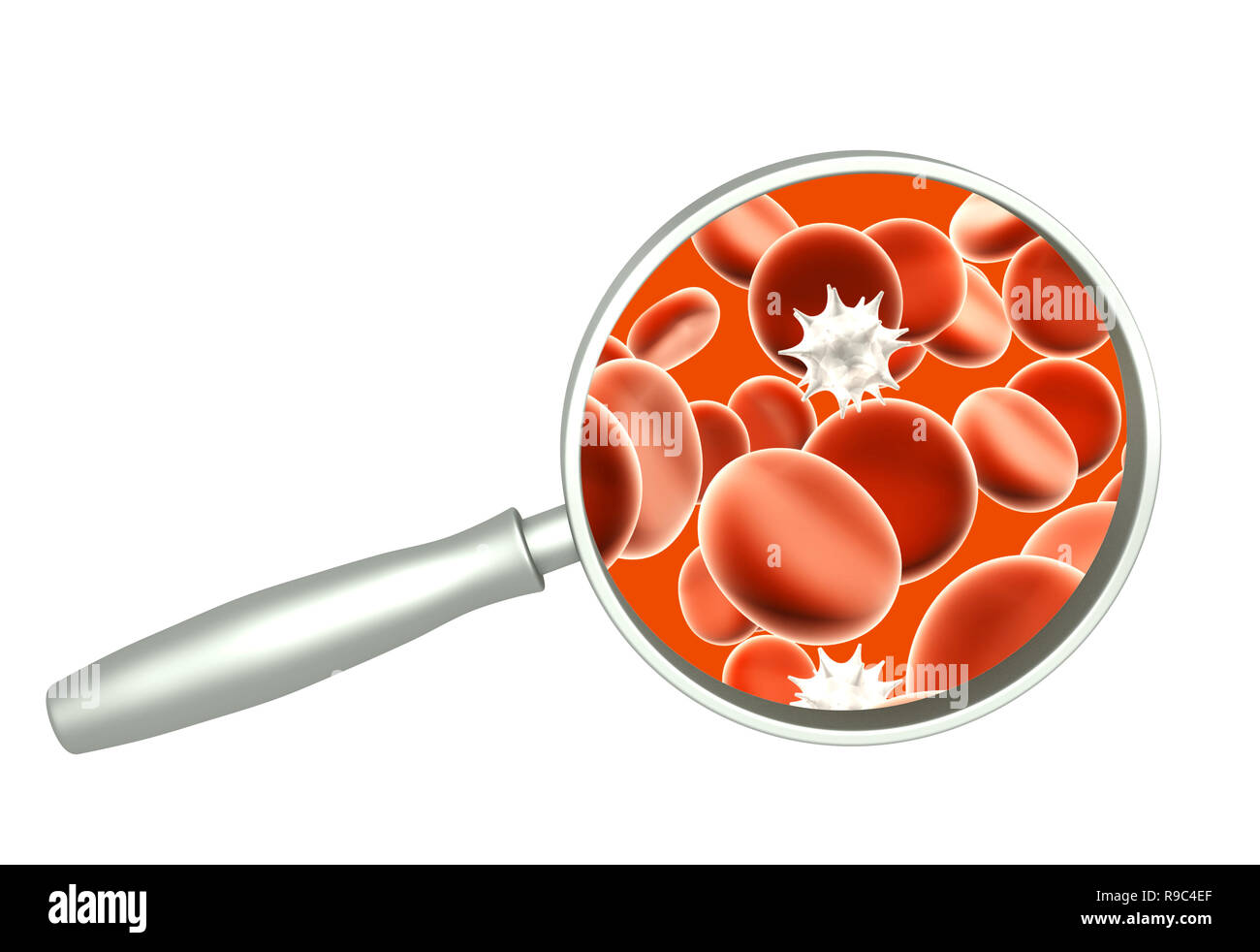 Magnifying glass, erythrocytes and colony of pathogen bacteria in blood. 3d render Stock Photo