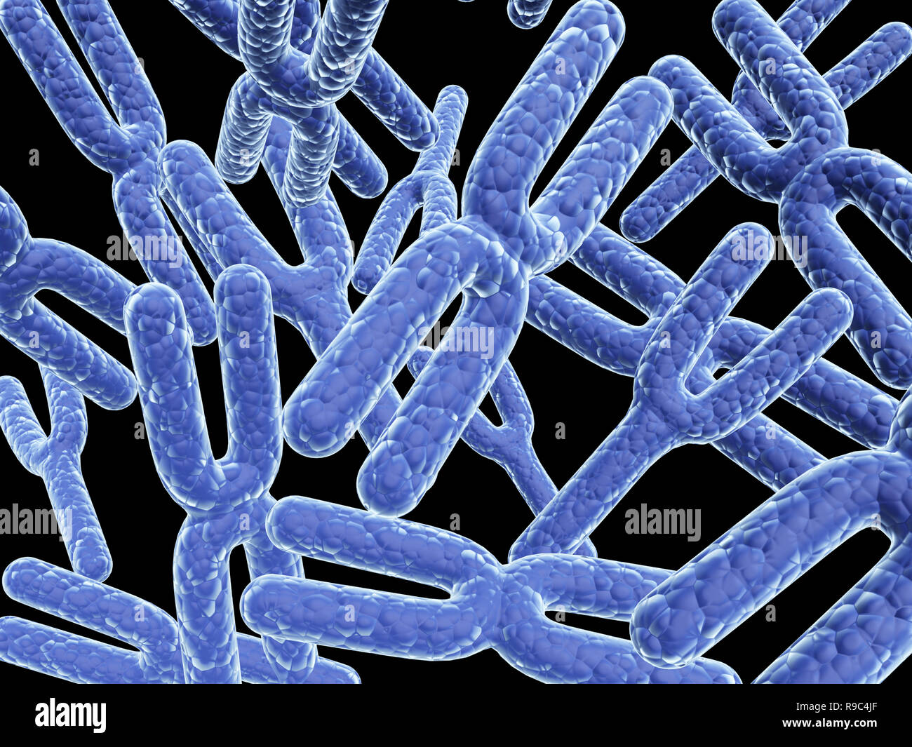 X y chromosomes hi-res stock photography and images - Alamy