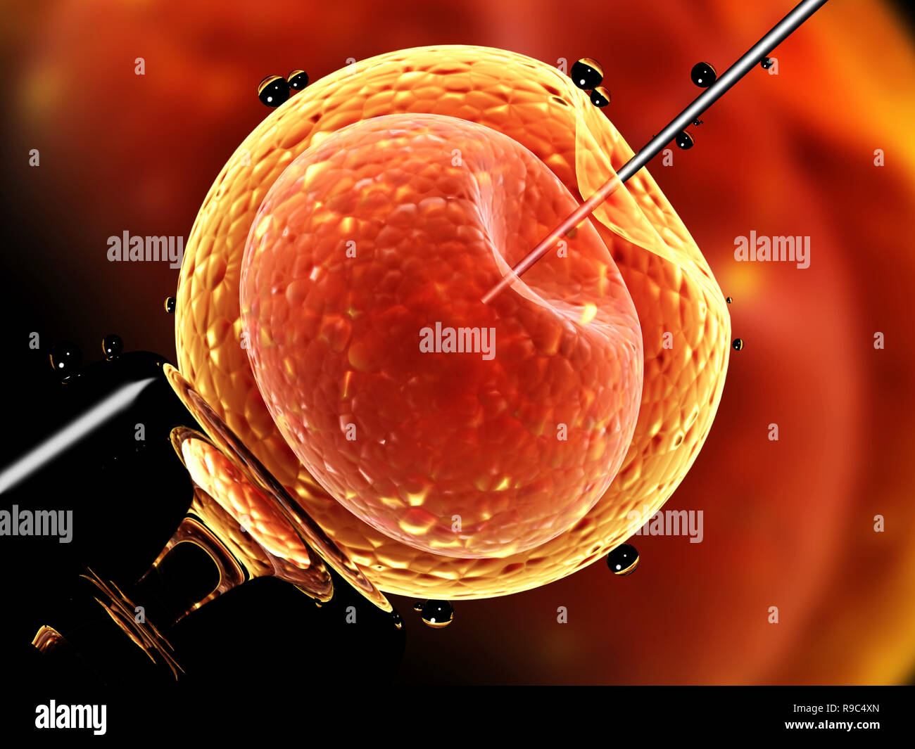 Cell injection - artificial insemination. Needle puncture the cell membrane. 3d render Stock Photo