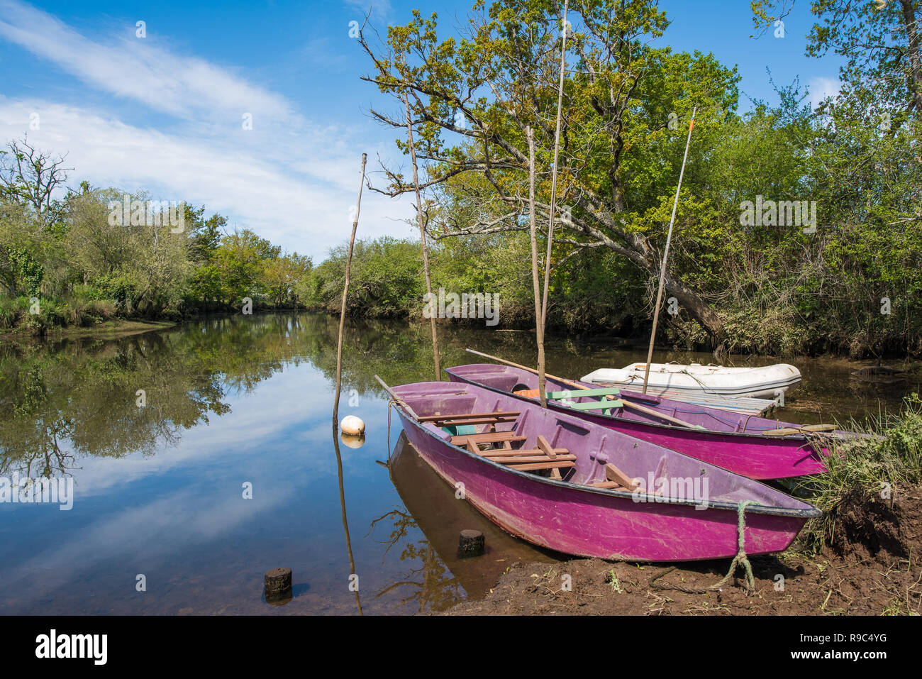 Biganos (Arcachon Bay, France), view on the Leyre river Stock Photo