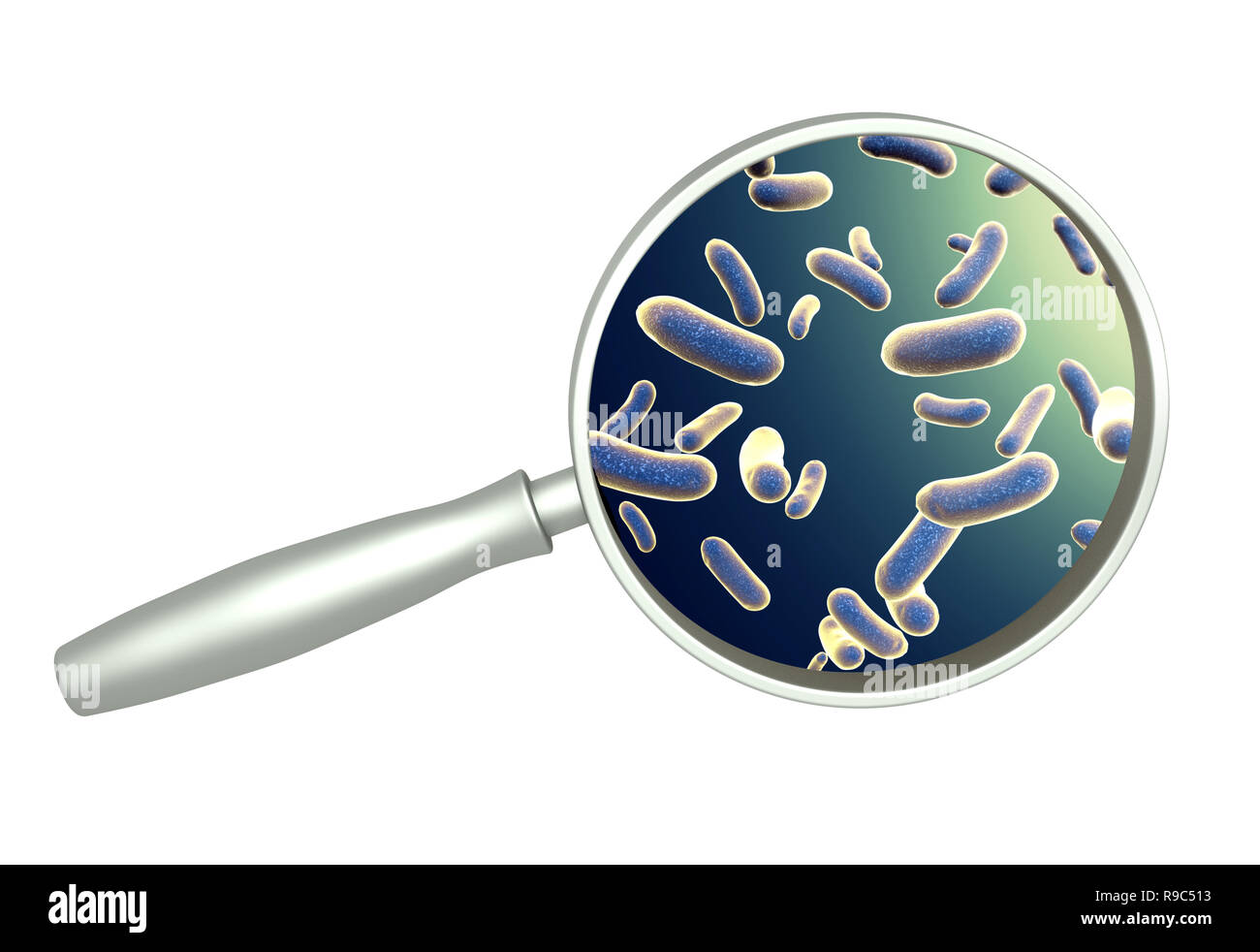 Magnifying glass and colony of pathogen bacteria. Isolated on white