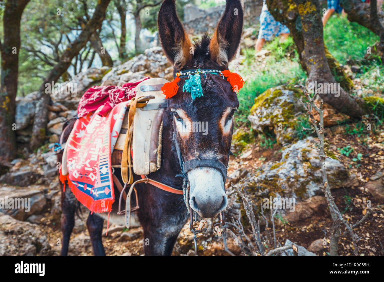 Psychro Cave High Resolution Stock Photography and Images - Alamy