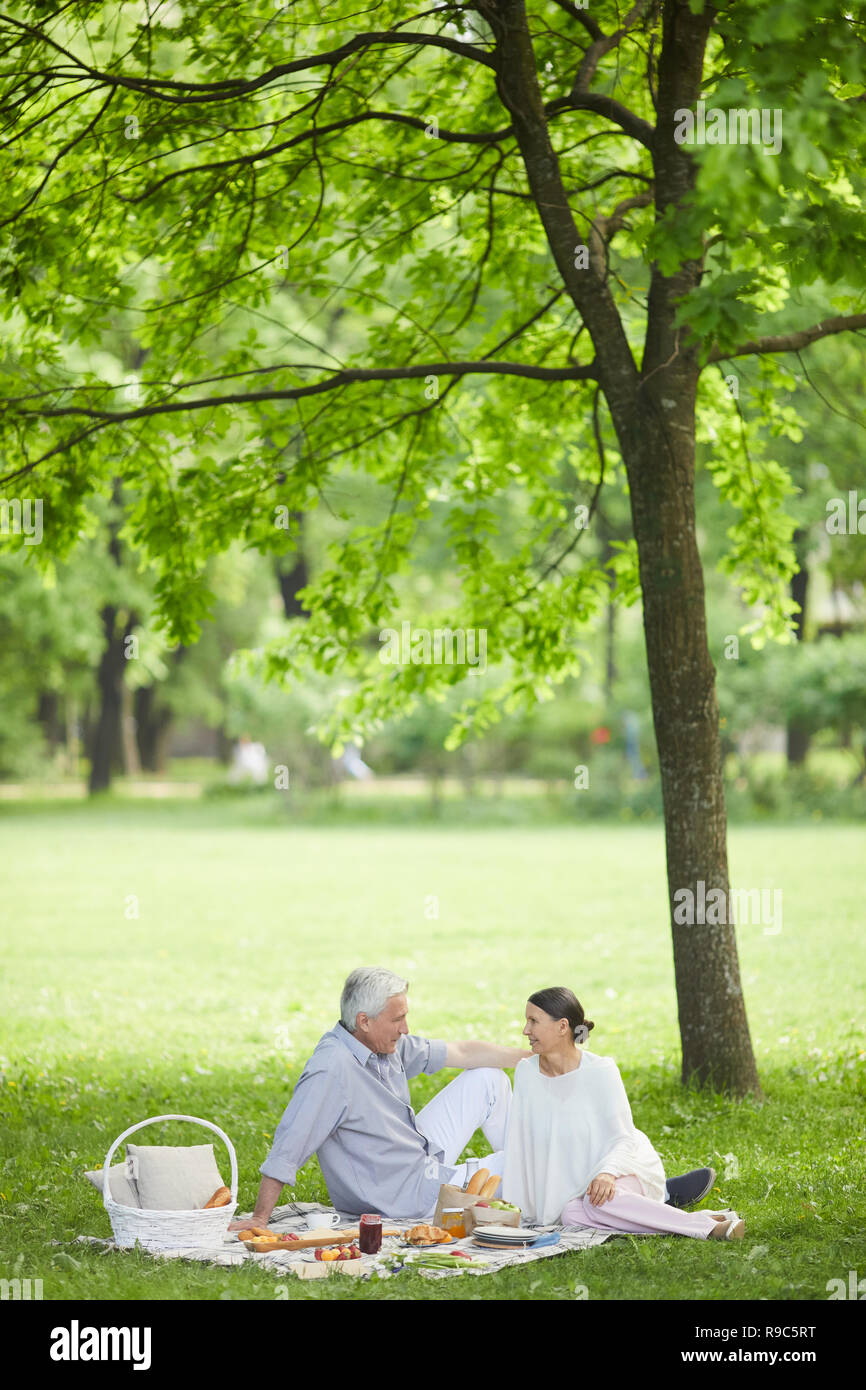 Picnic in park hi-res stock photography and images - Alamy