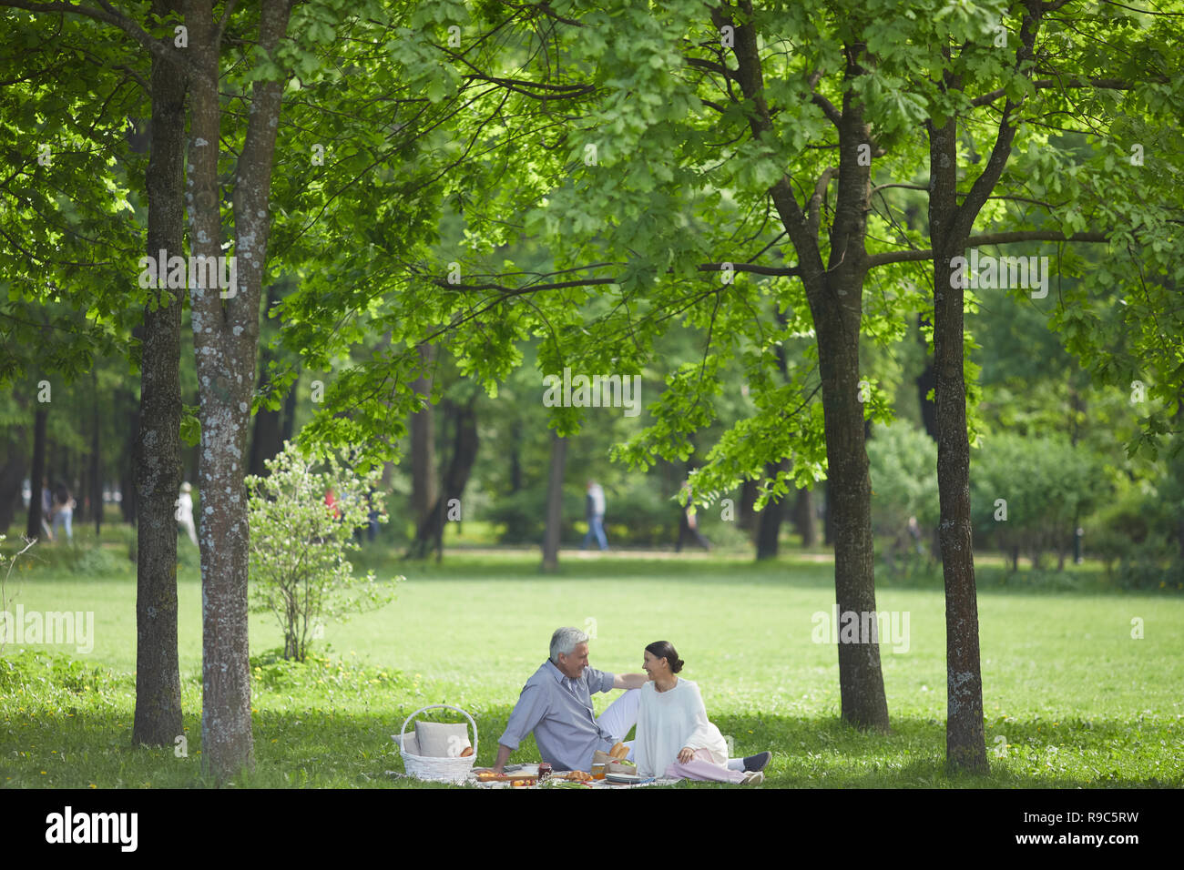 Family having a picnic on grass hi-res stock photography and images - Alamy