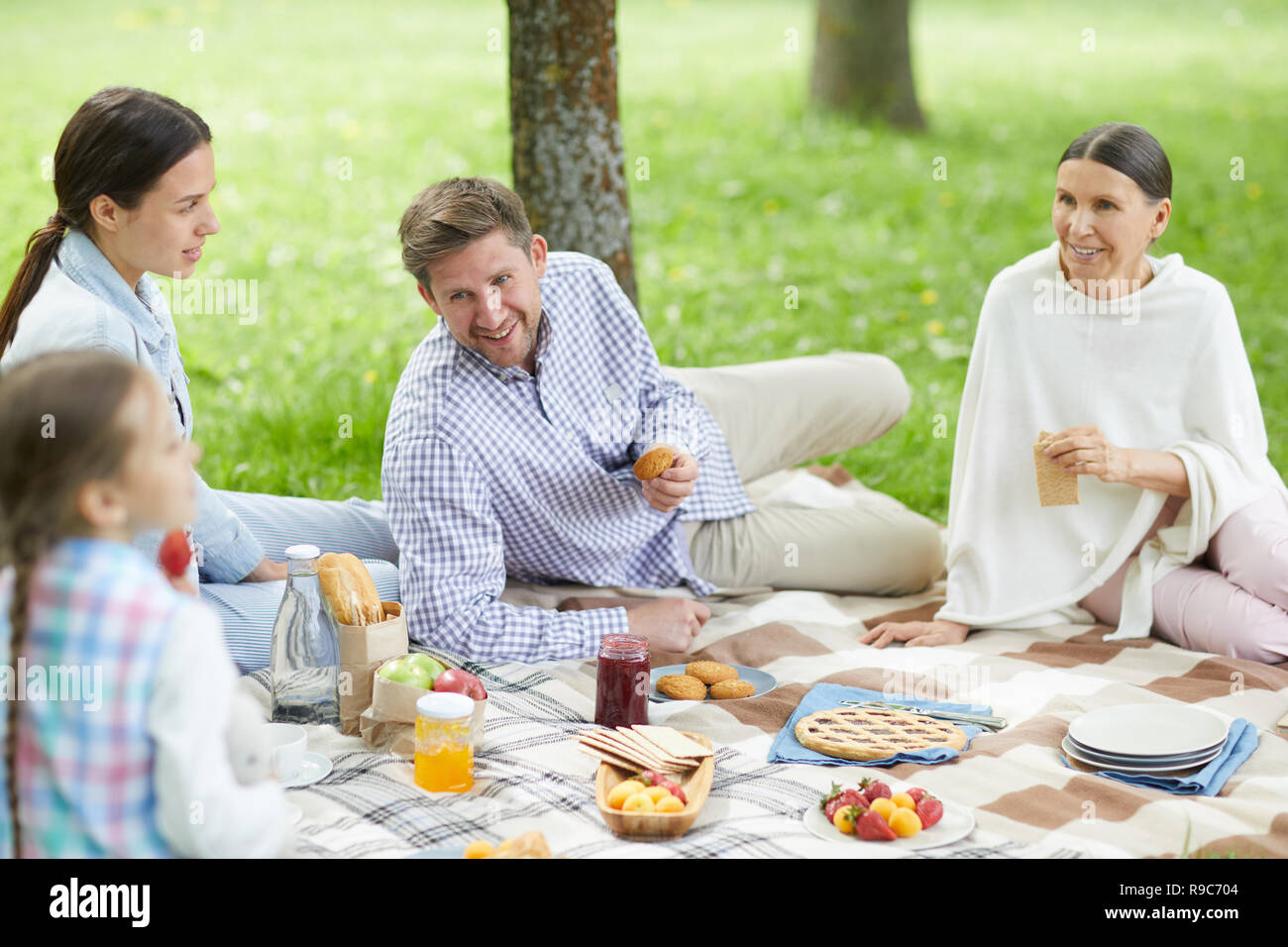Talk at picnic Stock Photo Alamy