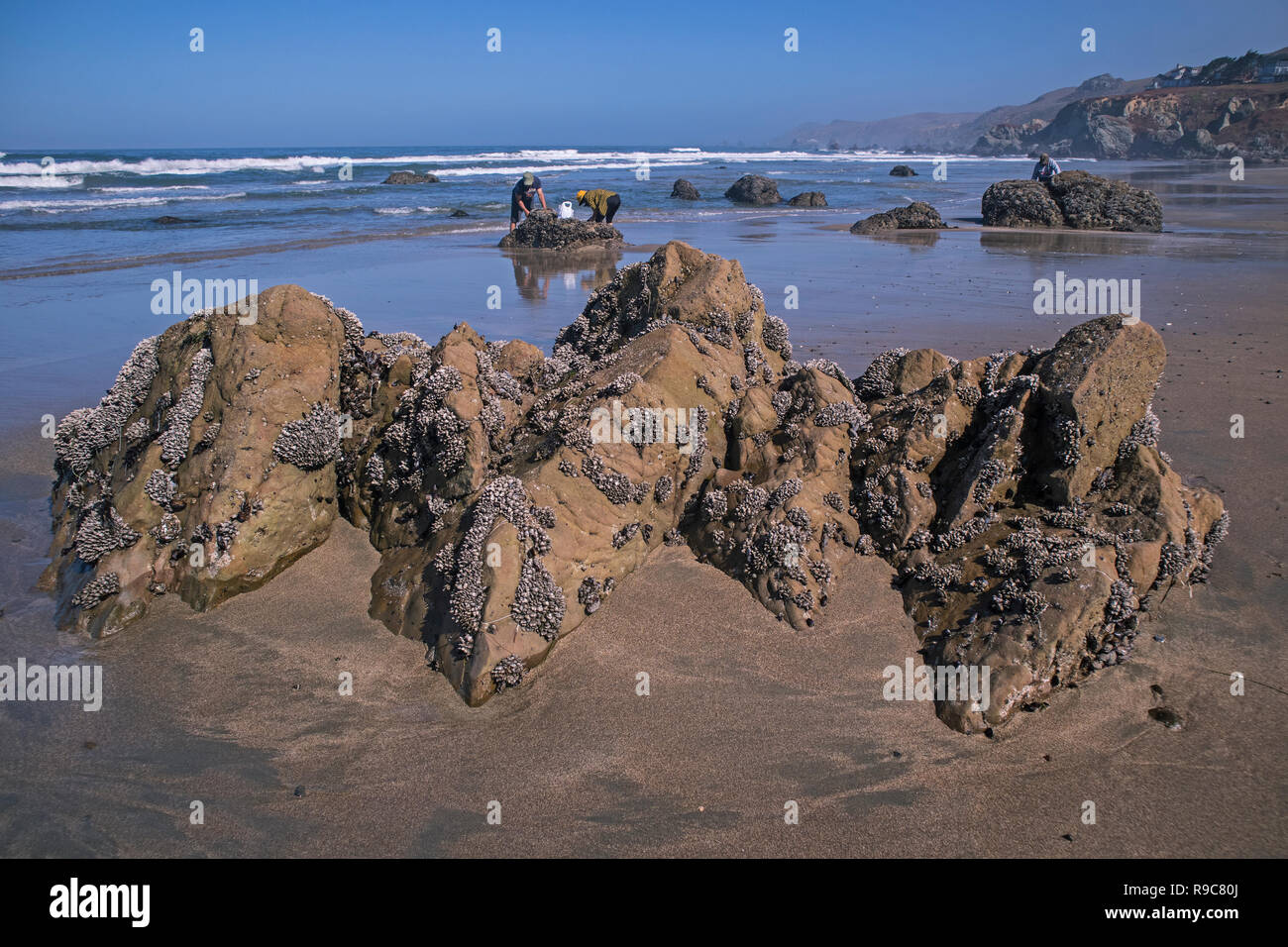 Dillon Beach, Marin County, California, USA Stock Photo