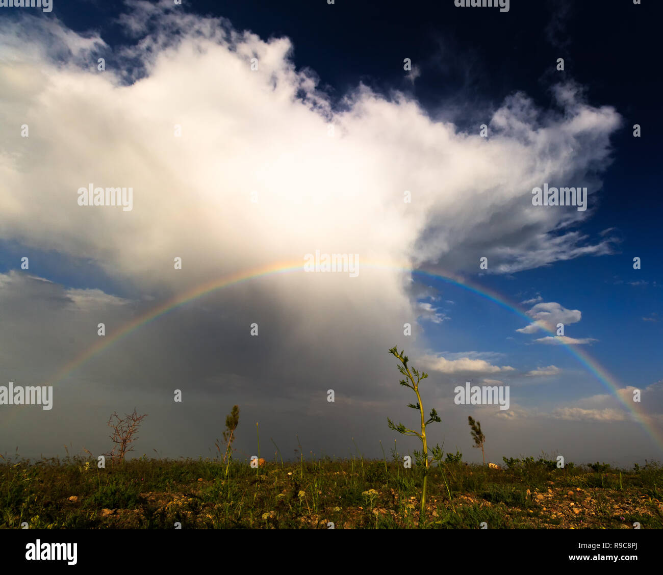 Cloudy blue sky with rainbow hi-res stock photography and images - Alamy
