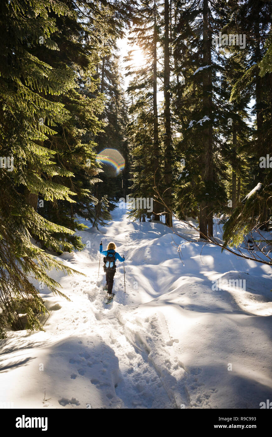 A woman snowshoeing through a forest on a sunny day. Stock Photo