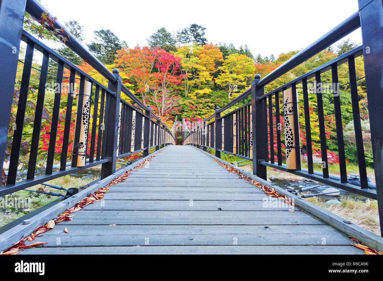 Suspension Bridge at Shiobara onsen in Autunm Stock Photo