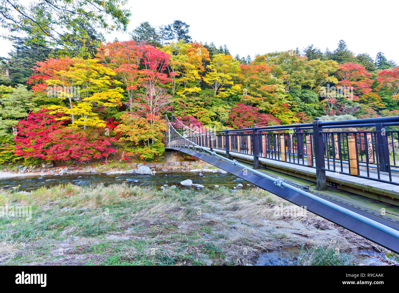 Suspension Bridge at Shiobara onsen in Autunm Stock Photo