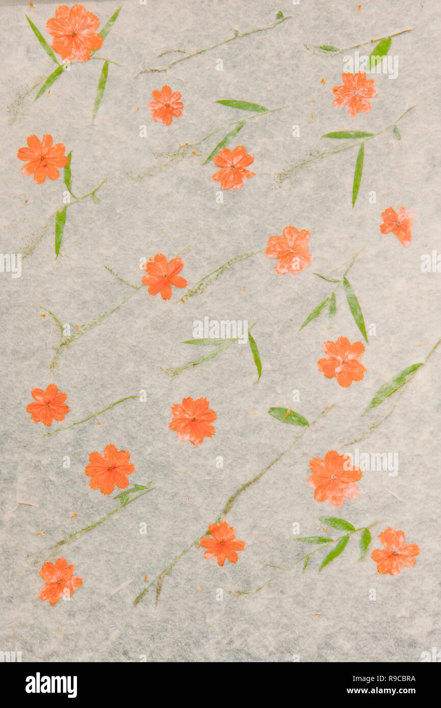 Mulberry(Saa) paper as handicraft made from Mulberry(Saa) bark. Saa paper will be produced craft paper. Souvenirs of Luang Prabang, Laos Stock Photo