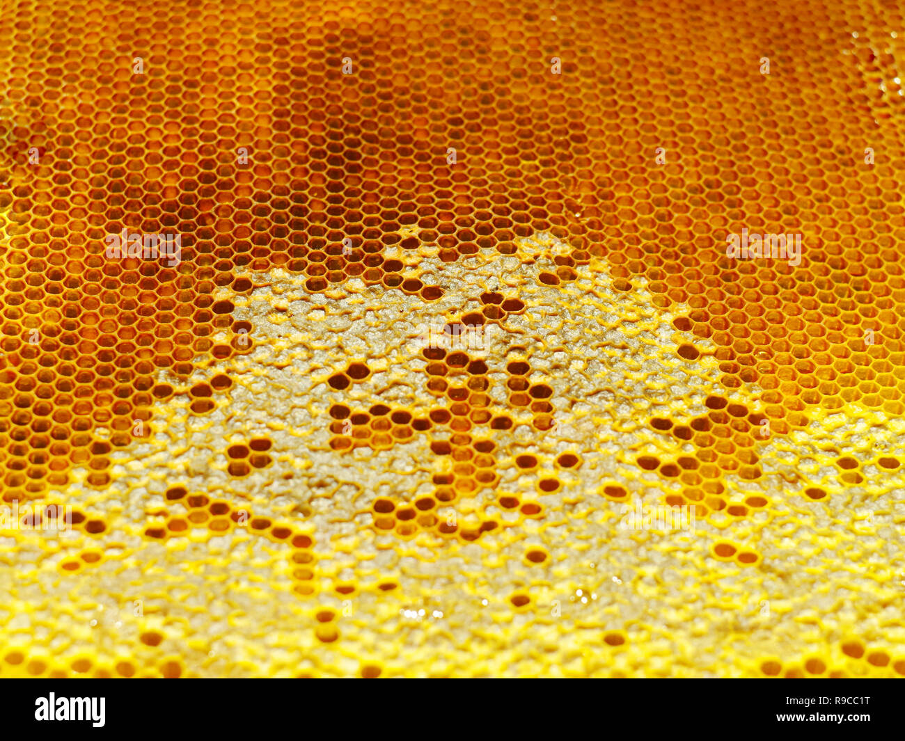 Honeycomb filled hi-res stock photography and images - Alamy