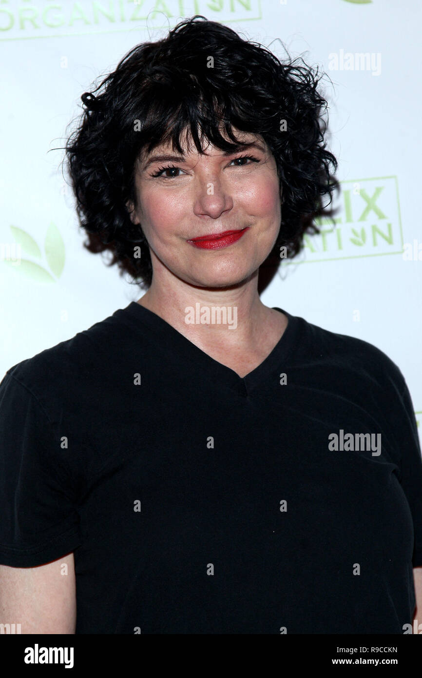 NEW YORK, NY - MAY 15:  Actress Terri Garber attends the 2016 'Dance This Way' Dance-A-Thon Benefit hosted by The Felix Organization on May 15, 2016 in New York, New York.  (Photo by Steve Mack/S.D. Mack Pictures) Stock Photo