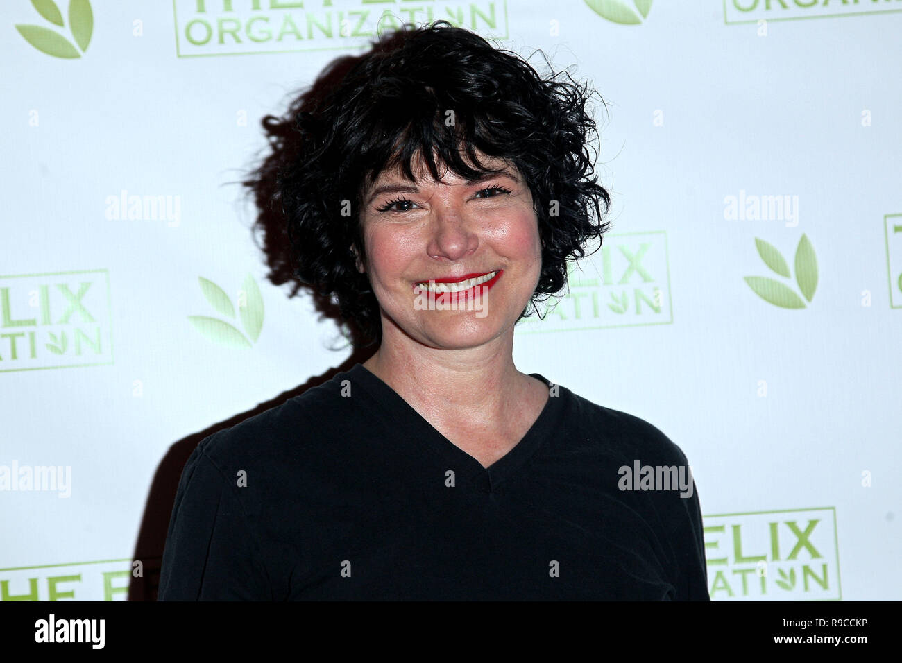 NEW YORK, NY - MAY 15:  Actress Terri Garber attends the 2016 'Dance This Way' Dance-A-Thon Benefit hosted by The Felix Organization on May 15, 2016 in New York, New York.  (Photo by Steve Mack/S.D. Mack Pictures) Stock Photo