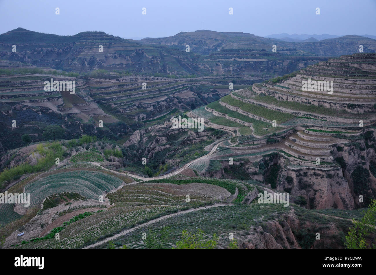 Terraced fields on the hillside in China, Shanxi Province Stock Photo