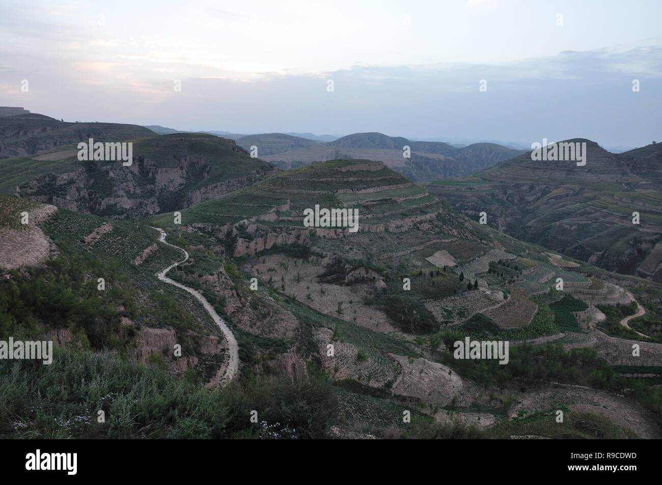 Terraced fields on the hillside in China, Shanxi Province Stock Photo