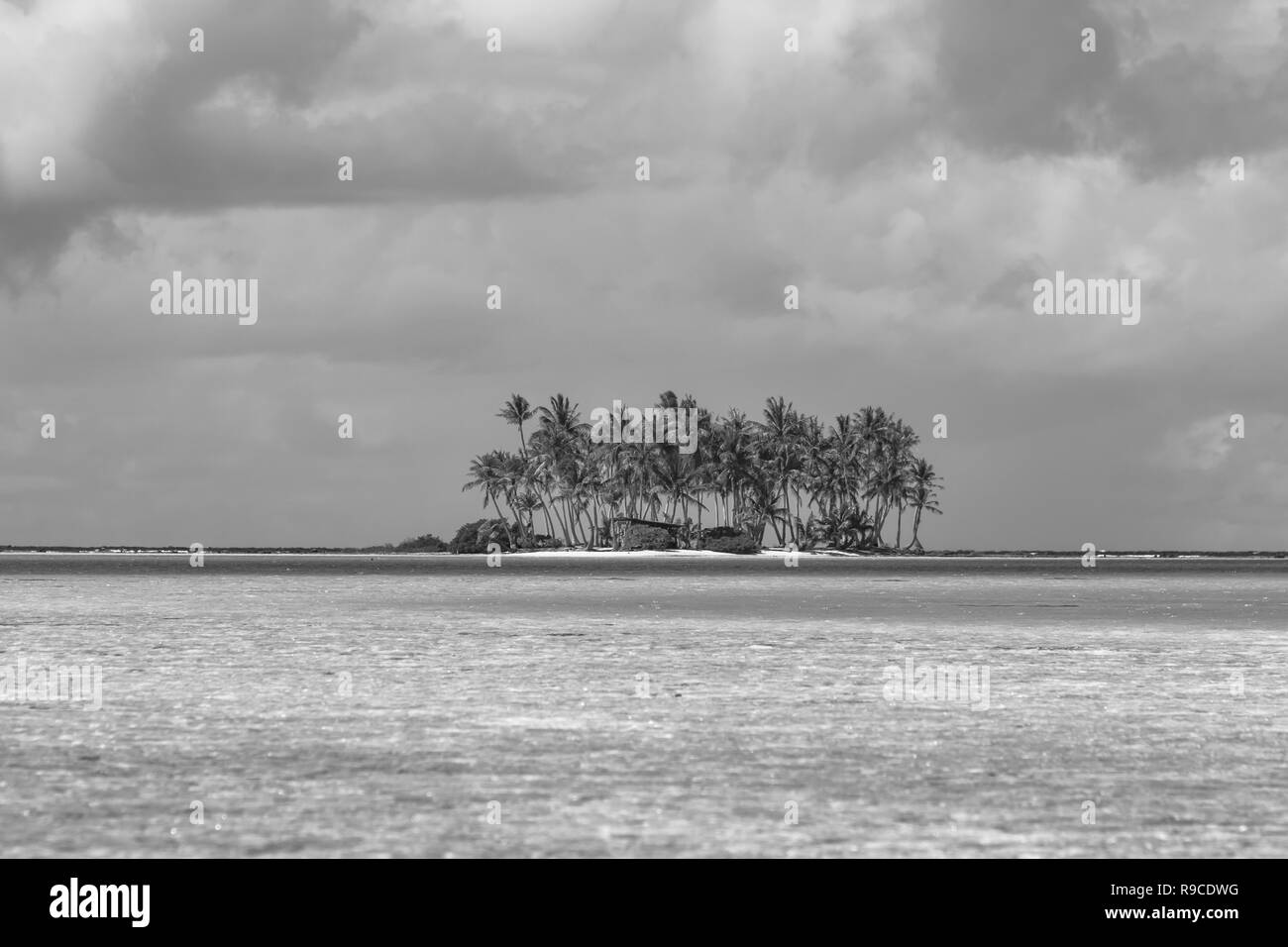 Blue lagoon of Rangiroa atoll, Tuamotu islands, French Polynesia. Stock Photo