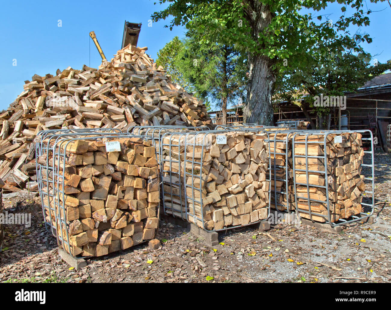 Piled cut & split 'Oak' firewood, open-end bins with pricetag,  firewood operation & sales yard. Stock Photo