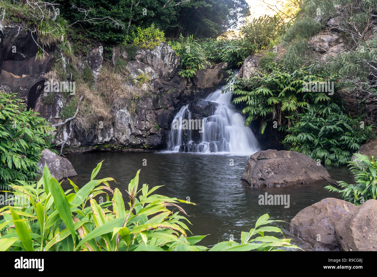 Water cascading over rocks creating a silky waterfall, Upper Waipoo