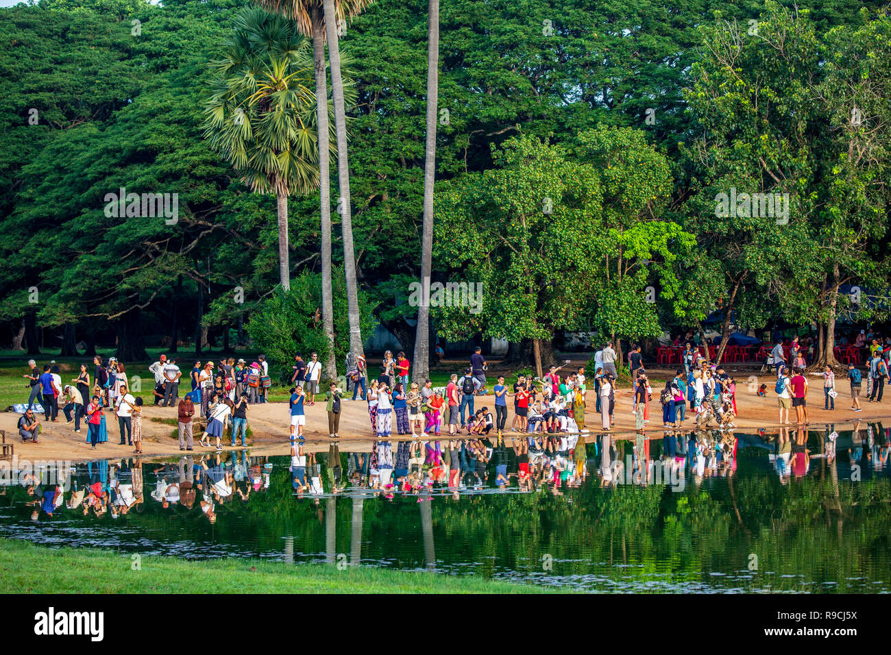 Tourists watch sunrise across a pond with green trees in background at Angkor Wat temple complex in Siem Reap, Cambodia. Stock Photo