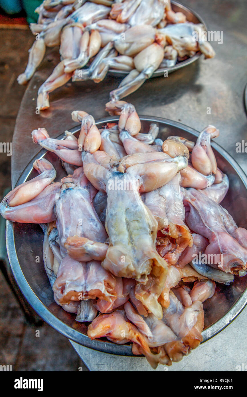 Chinese edible frog, East Asian bullfrog, or Taiwanese frog, Hoplobatrachus rugulosus, for sale at a street food stall. Stock Photo
