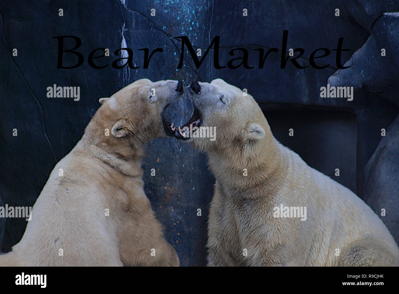 Financial investment in bear market. How to trade in risk valuation