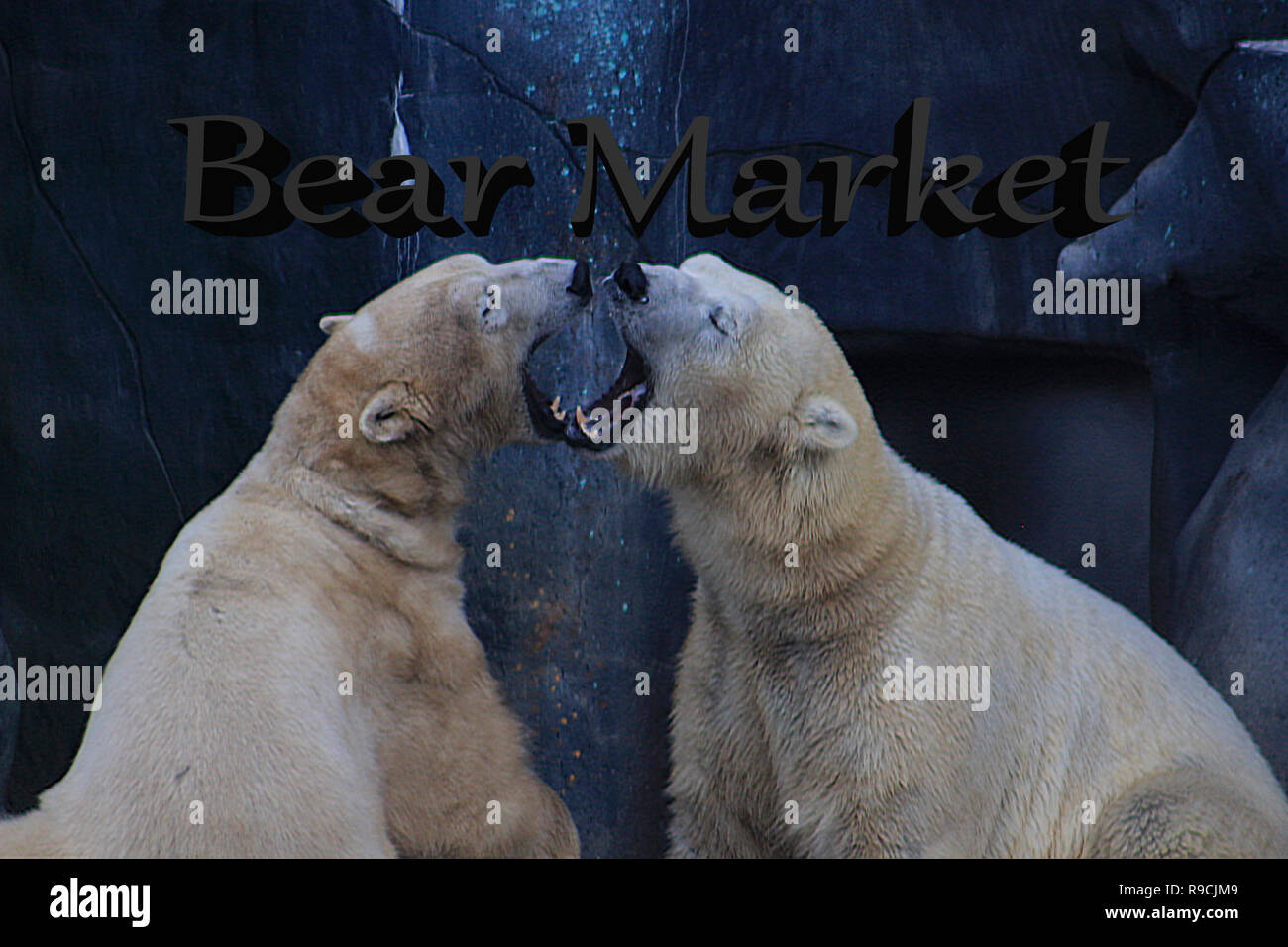 Financial investment in bear market. How to trade in risk valuation situation. Money was