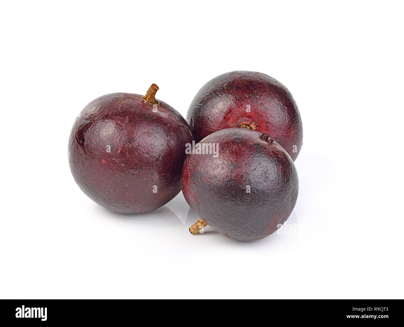 Flacourtia fruit on white background Stock Photo