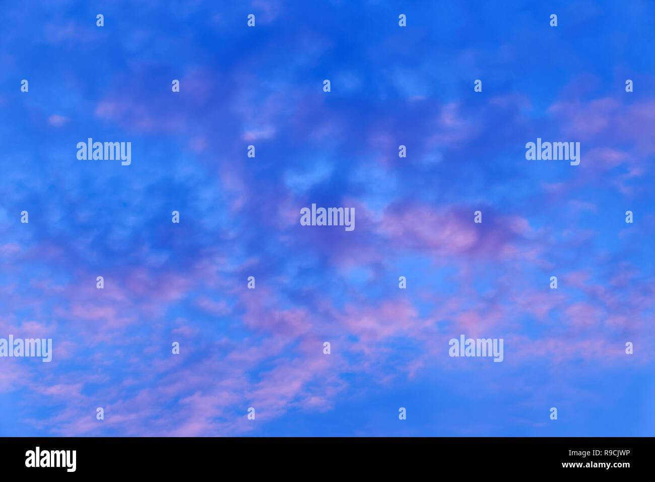 43,441.03659 Deep blue and pink sunset sky with mottled irregular almost cotton-ball like clouds Stock Photo
