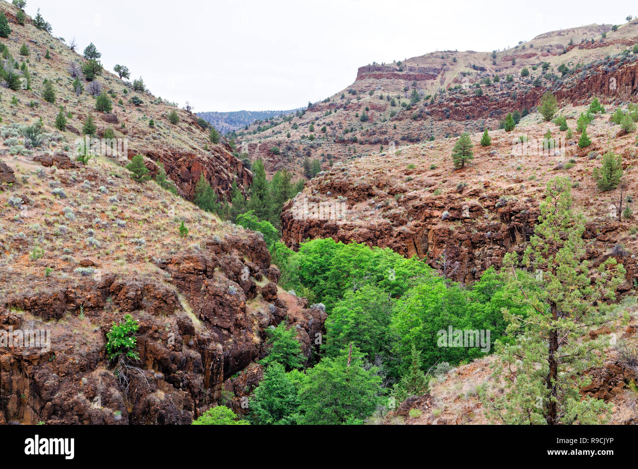 42,893.03504 Deep creek cut canyon gorge and cliffs in open steep & winding sagebrush hills, ridges & bluffs in the high desert of central Oregon, USA Stock Photo