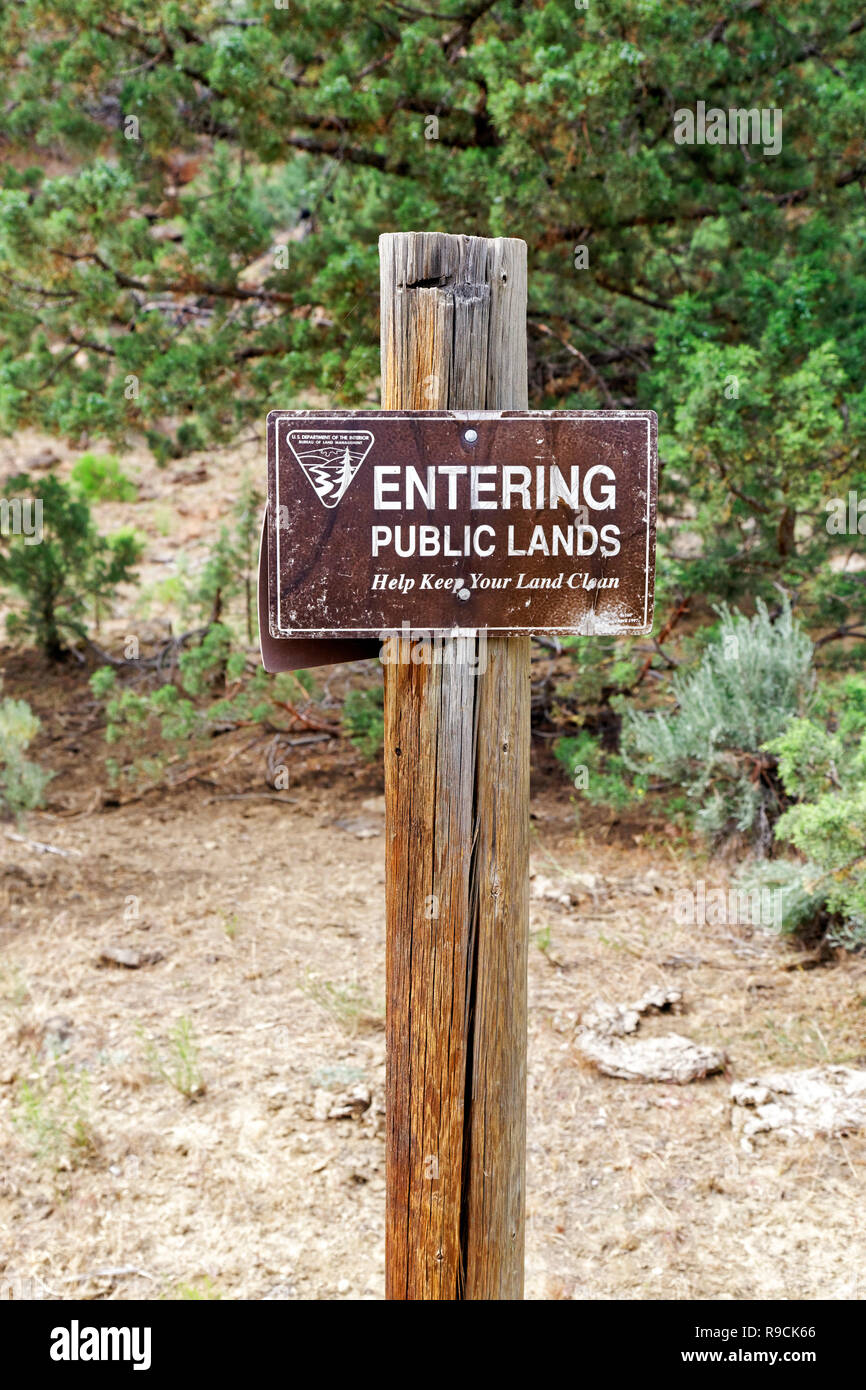 42,893.03527 AZ wooden post with backcountry BLM sign SC Stock Photo